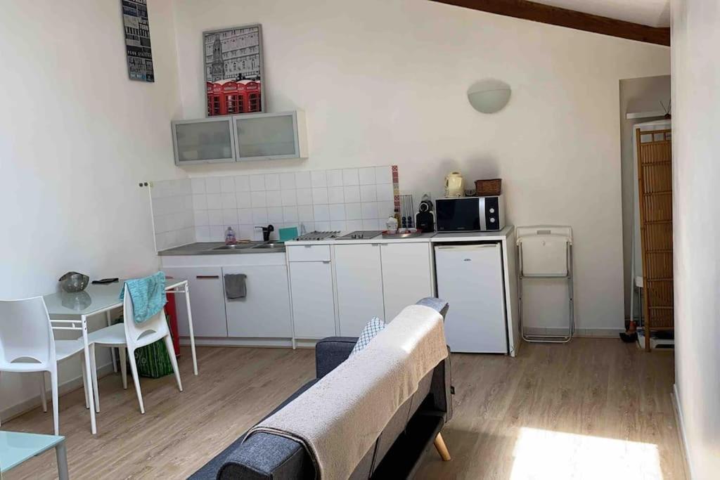 Le Saint-Lazare Appartement Au Calme Intra Muros 亞維農 外观 照片